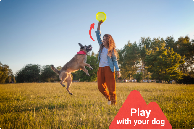 Woman playing frisbee with her dog in the dog park